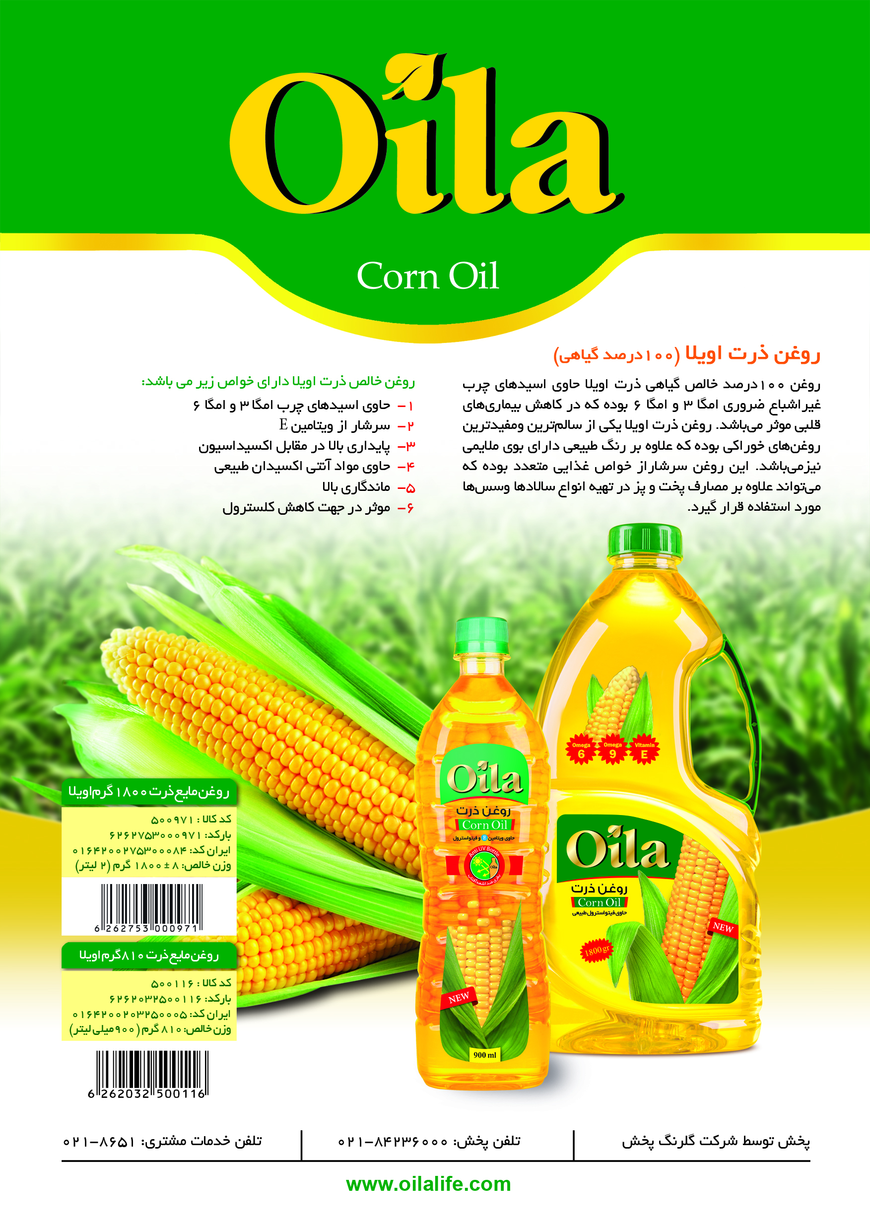 صفحه بیستو چهارم